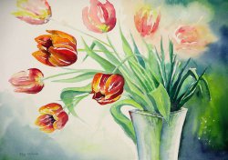 2006-05 rotgelbe tulpen